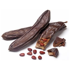 Ripe carob on white background