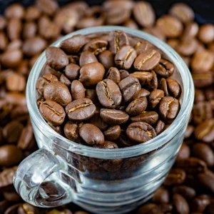 what-are-arabica-beans.jpg